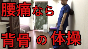 背骨 体操 関内